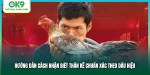 Cách Nhận Biết Thần Kê - Chia Sẻ Từ Các Lão Làng Tại OK9