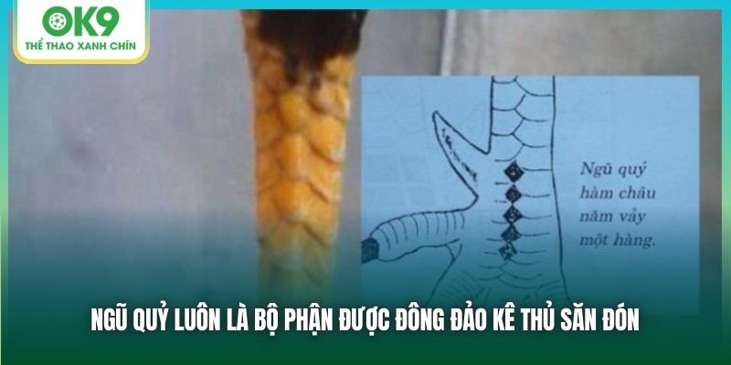 Ngũ quỷ luôn là bộ phận được đông đảo kê thủ săn đón