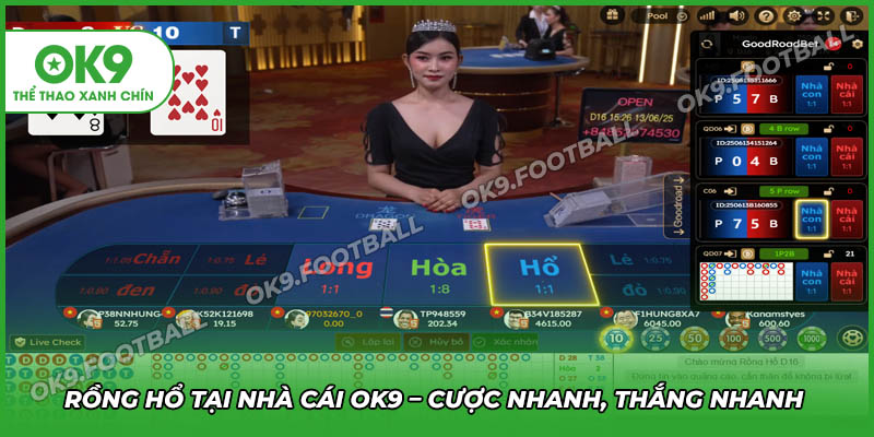 Rồng hổ tại Casino OK9 - Cược nhanh thắng nhanh